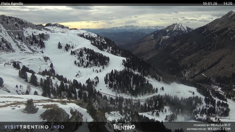 Archiv Foto Webcam Val di Fiemme Agnello