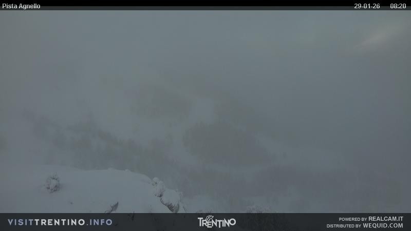 Archiv Foto Webcam Val di Fiemme Agnello