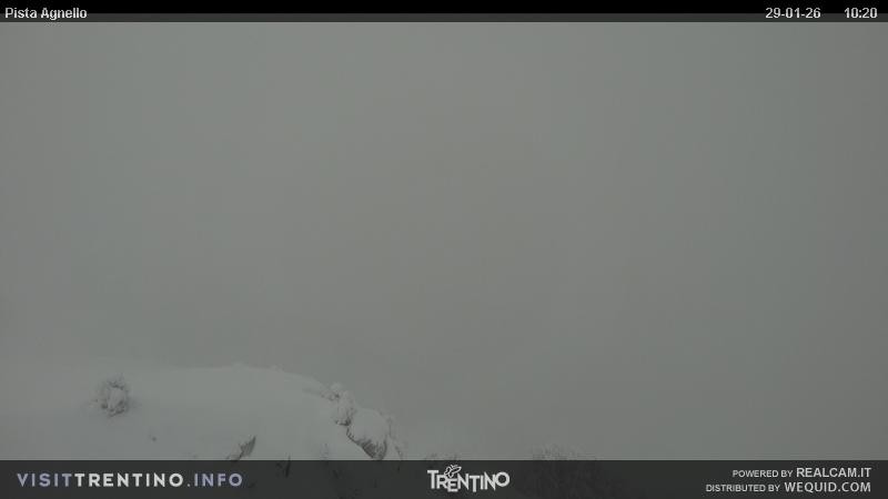 Archiv Foto Webcam Val di Fiemme Agnello