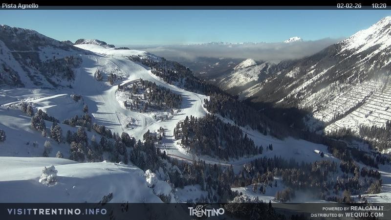 Archiv Foto Webcam Val di Fiemme Agnello