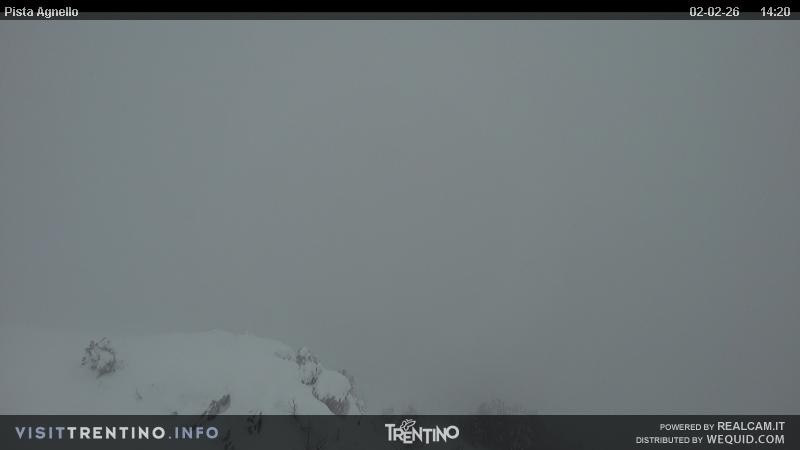 Archiv Foto Webcam Val di Fiemme Agnello