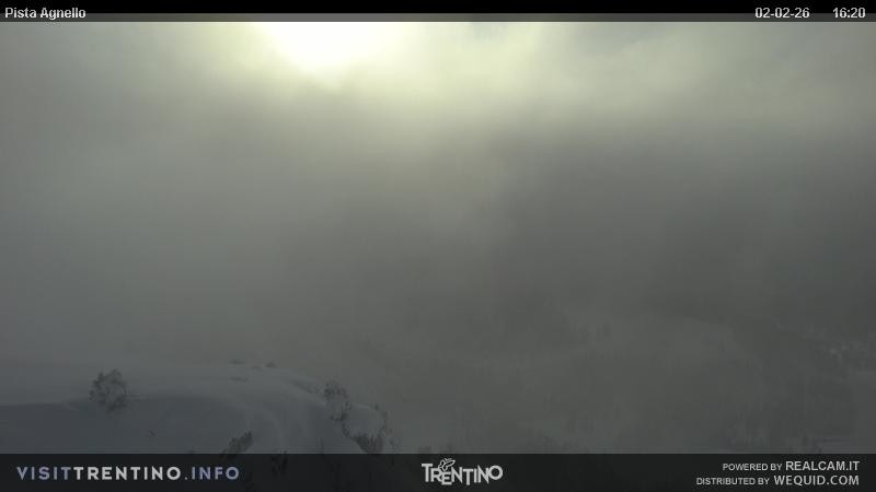 Archiv Foto Webcam Val di Fiemme Agnello