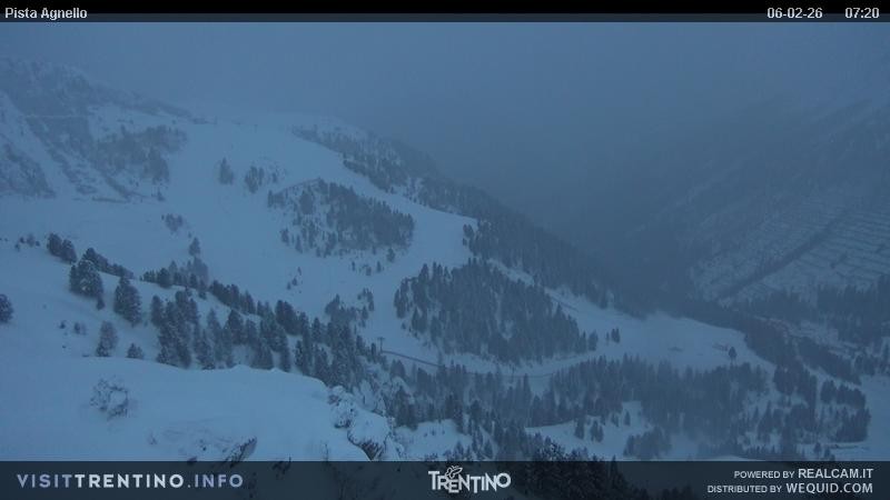 Archiv Foto Webcam Val di Fiemme Agnello