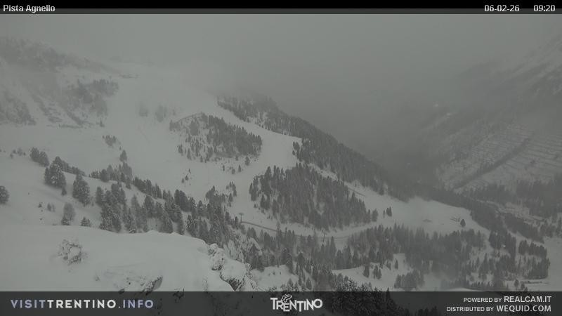 Archiv Foto Webcam Val di Fiemme Agnello