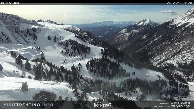 Archiv Foto Webcam Val di Fiemme Agnello