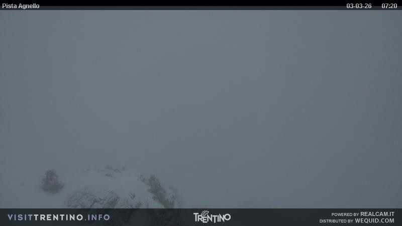 Archiv Foto Webcam Val di Fiemme Agnello