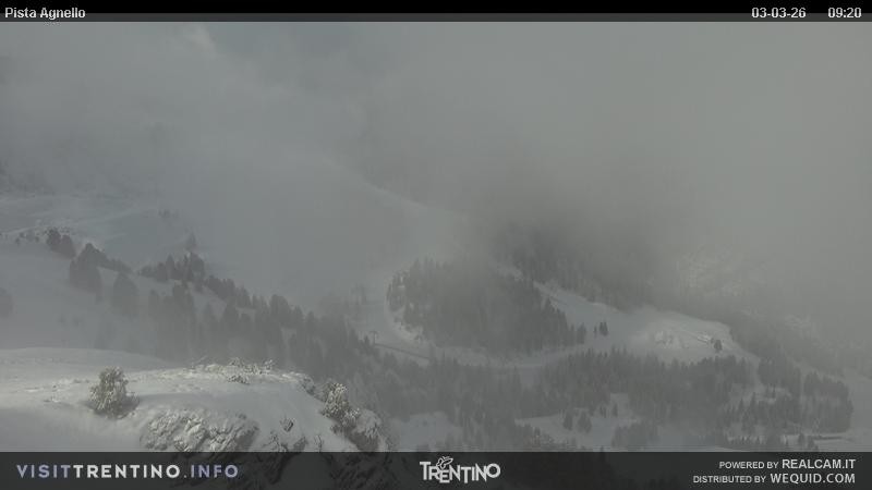 Archiv Foto Webcam Val di Fiemme Agnello