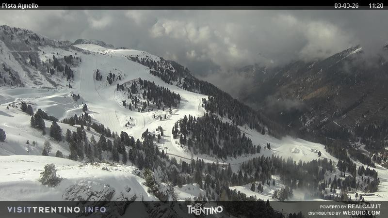 Archiv Foto Webcam Val di Fiemme Agnello