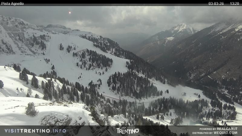Archiv Foto Webcam Val di Fiemme Agnello