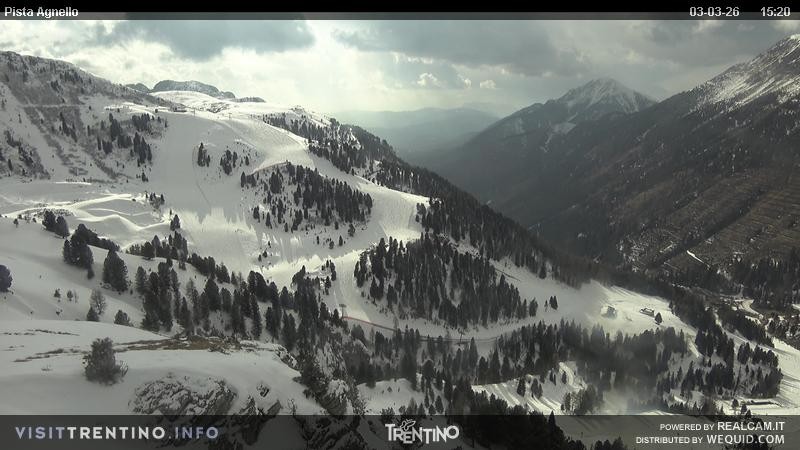 Archiv Foto Webcam Val di Fiemme Agnello