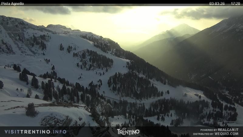 Archiv Foto Webcam Val di Fiemme Agnello