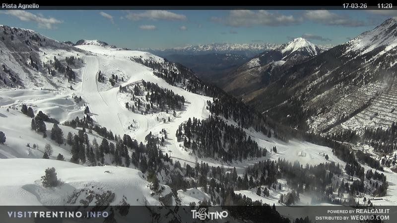 Archiv Foto Webcam Val di Fiemme Agnello