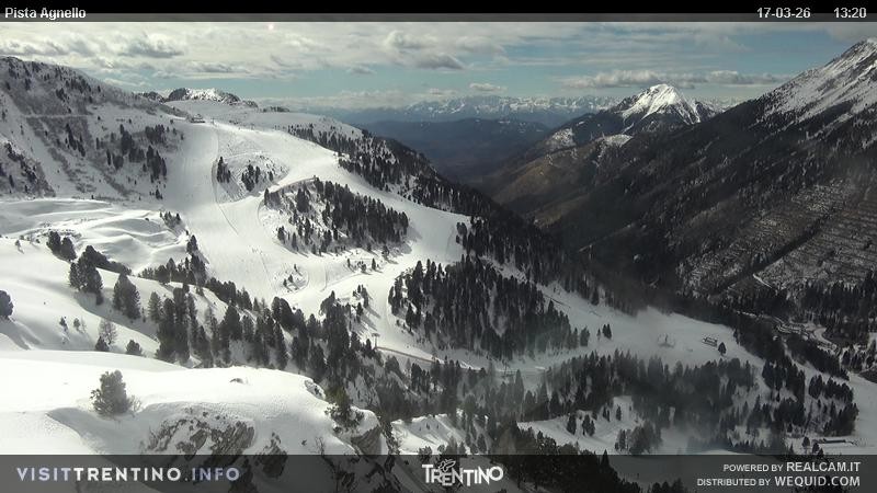 Archiv Foto Webcam Val di Fiemme Agnello