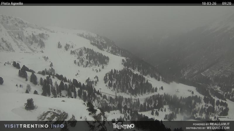 Archived image Webcam Val di Fiemme Agnello