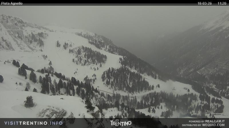 Archived image Webcam Val di Fiemme Agnello