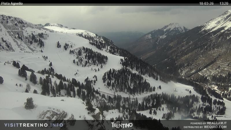 Archived image Webcam Val di Fiemme Agnello