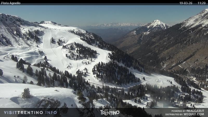 Archiv Foto Webcam Val di Fiemme Agnello