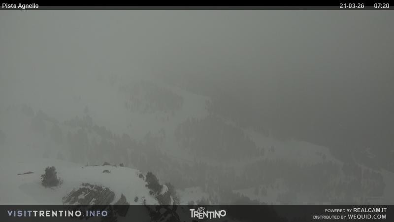 Archiv Foto Webcam Val di Fiemme Agnello