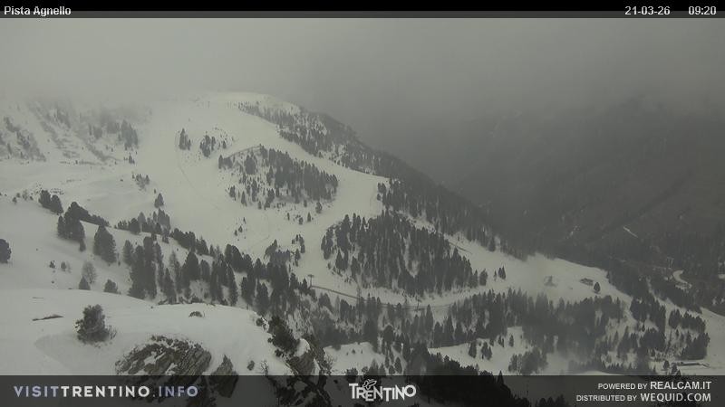 Archiv Foto Webcam Val di Fiemme Agnello