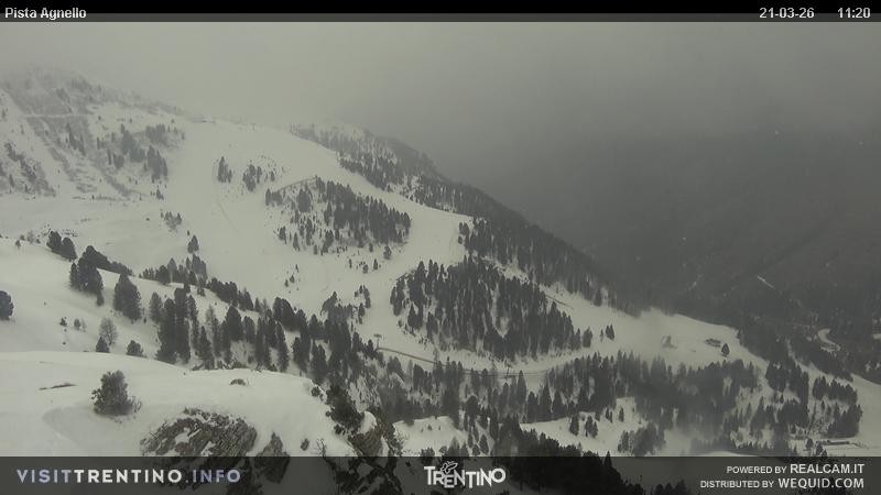 Archiv Foto Webcam Val di Fiemme Agnello