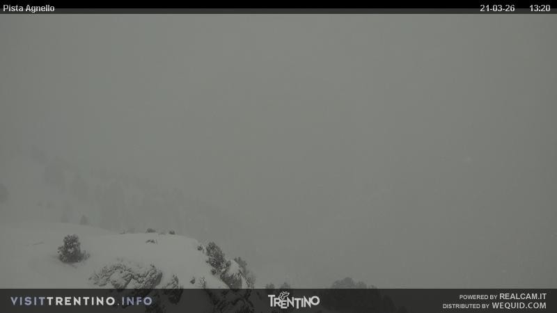 Archiv Foto Webcam Val di Fiemme Agnello
