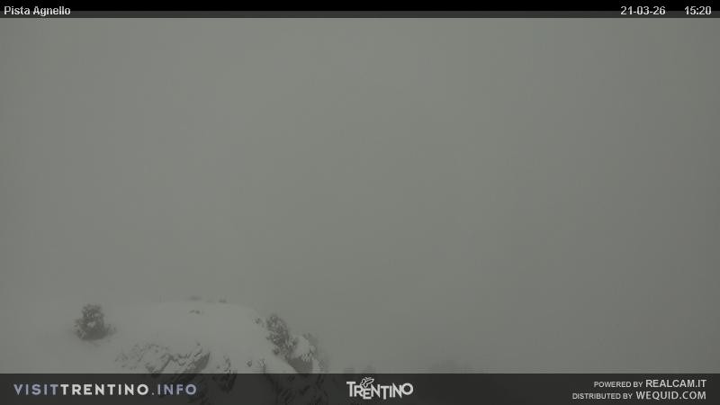 Archiv Foto Webcam Val di Fiemme Agnello
