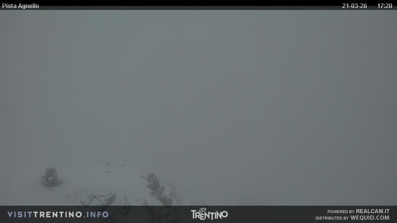 Archiv Foto Webcam Val di Fiemme Agnello