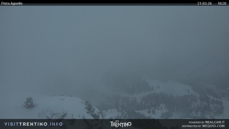 Archiv Foto Webcam Val di Fiemme Agnello