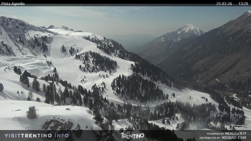 Archived image Webcam Val di Fiemme Agnello