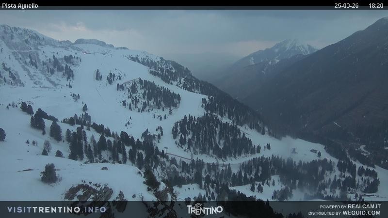 Archived image Webcam Val di Fiemme Agnello