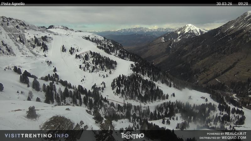 Archiv Foto Webcam Val di Fiemme Agnello