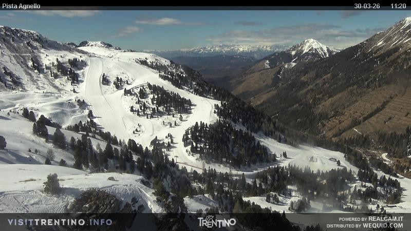 Archiv Foto Webcam Val di Fiemme Agnello
