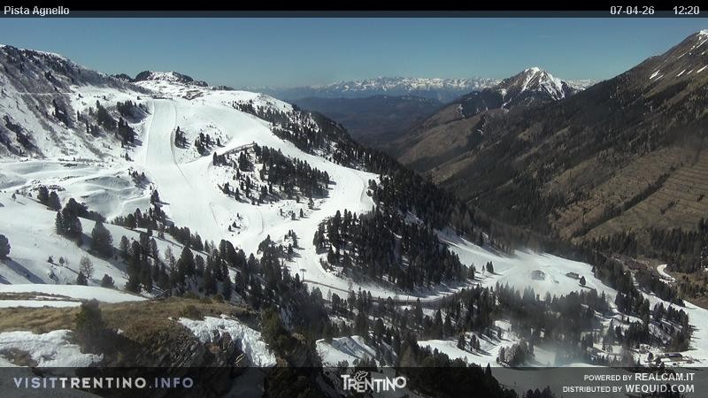 Archiv Foto Webcam Val di Fiemme Agnello