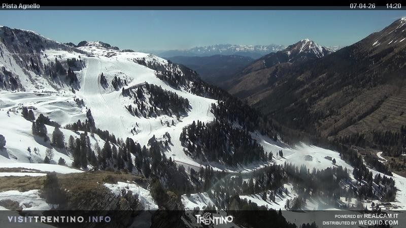 Archiv Foto Webcam Val di Fiemme Agnello