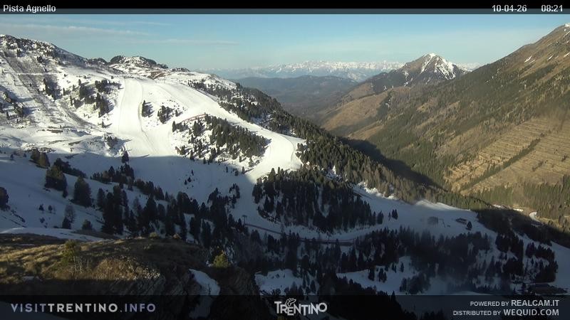 Archiv Foto Webcam Val di Fiemme Agnello
