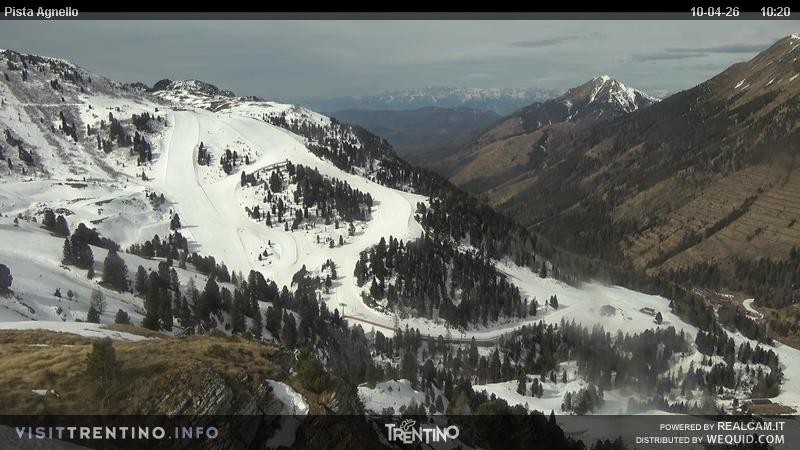 Archiv Foto Webcam Val di Fiemme Agnello