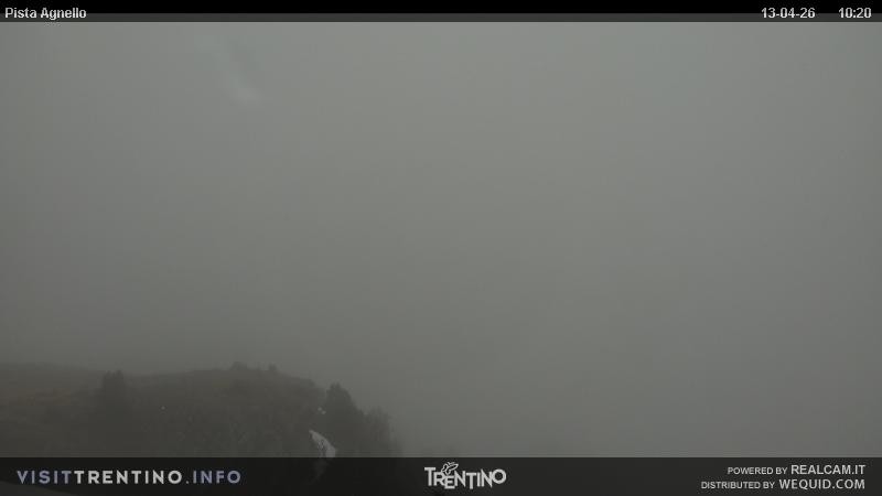 Archiv Foto Webcam Val di Fiemme Agnello