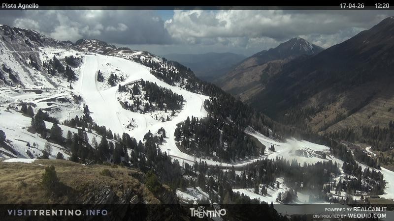 Archived image Webcam Val di Fiemme Agnello