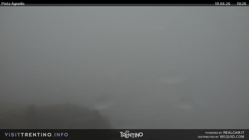 Archived image Webcam Val di Fiemme Agnello