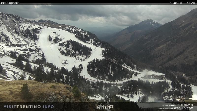 Archived image Webcam Val di Fiemme Agnello