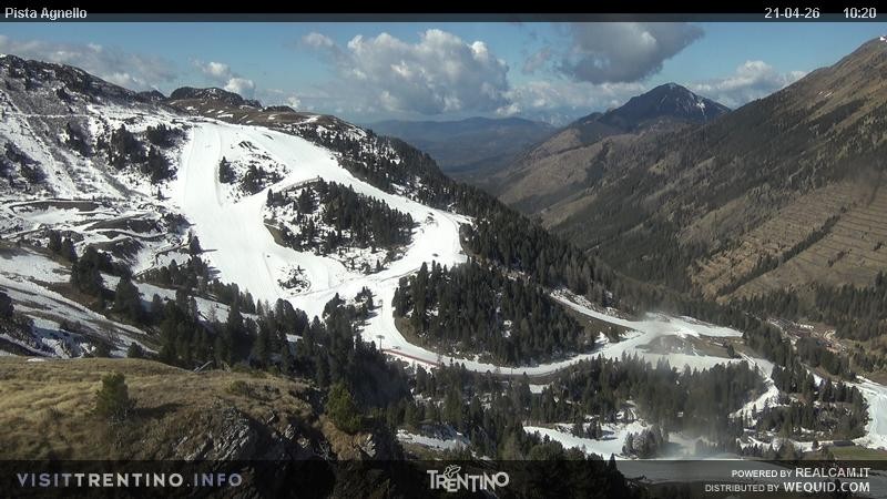 Archiv Foto Webcam Val di Fiemme Agnello