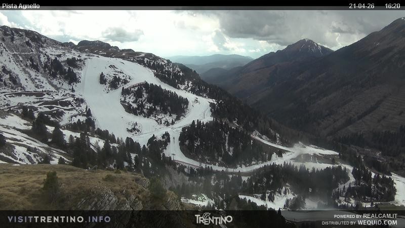 Archiv Foto Webcam Val di Fiemme Agnello