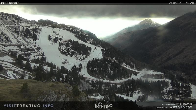 Archiv Foto Webcam Val di Fiemme Agnello