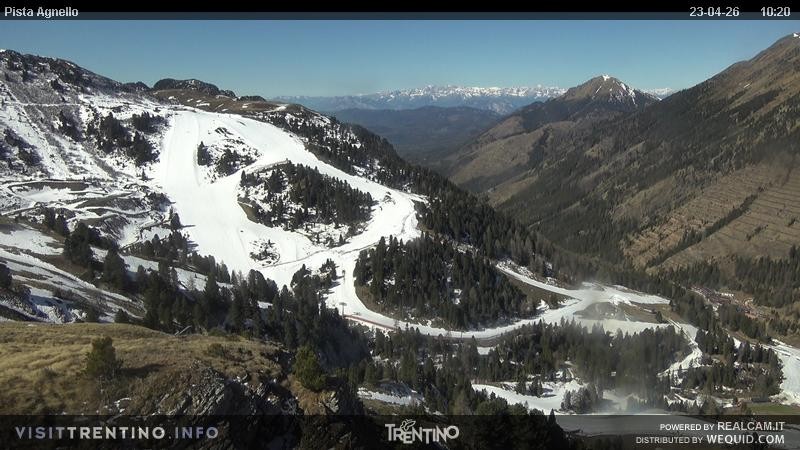 Archiv Foto Webcam Val di Fiemme Agnello