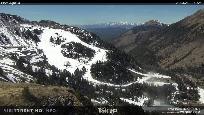 Archiv Foto Webcam Val di Fiemme Agnello
