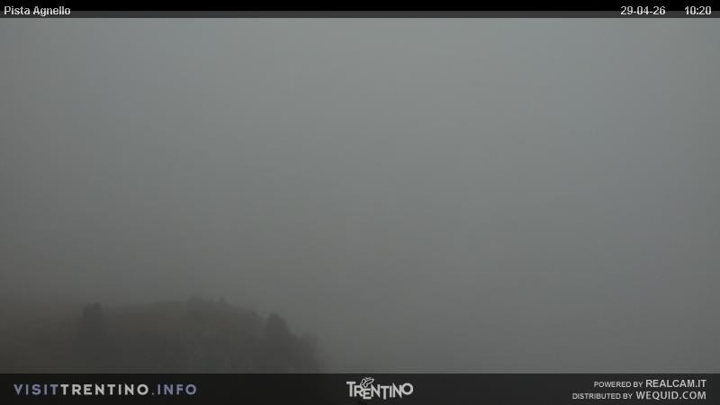 Archived image Webcam Val di Fiemme Agnello
