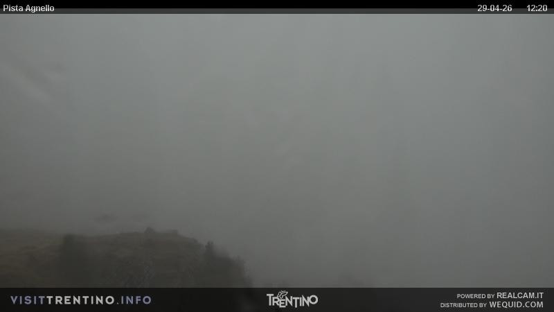 Archived image Webcam Val di Fiemme Agnello
