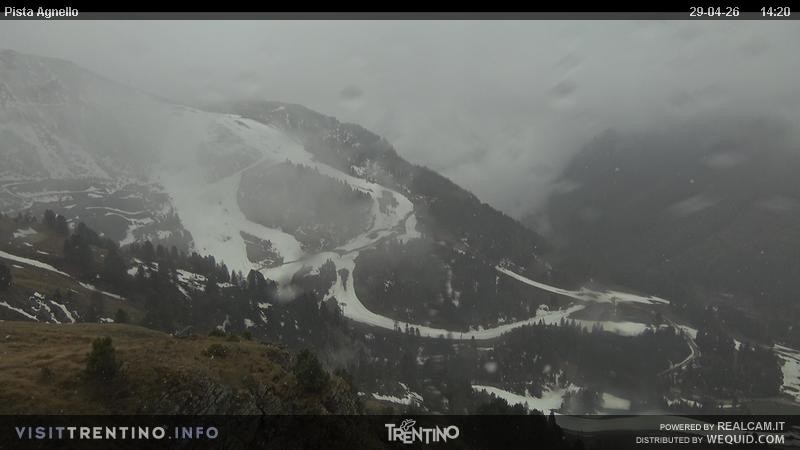 Archived image Webcam Val di Fiemme Agnello