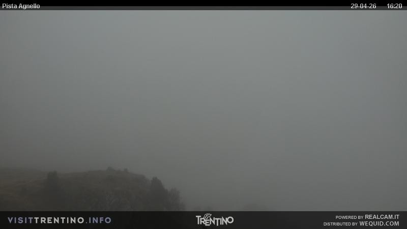 Archived image Webcam Val di Fiemme Agnello