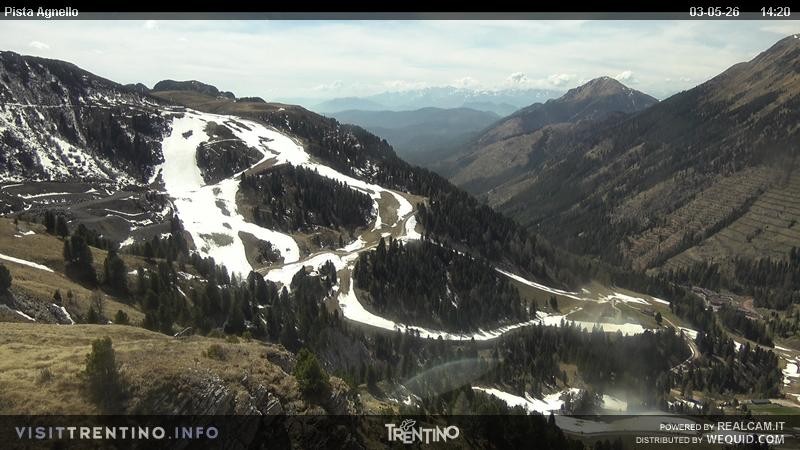 Archiv Foto Webcam Val di Fiemme Agnello